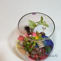 دیشگاردن تنگ ساکولنت
