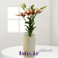 گل لیلیوم