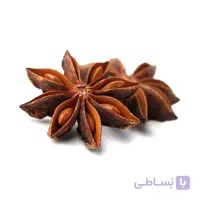 بادیان ختایی