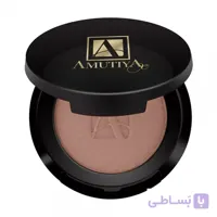 رژگونه پودری آموتیا شماره Bw540