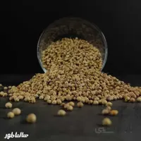 تخم گشنیز