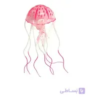خرید تجهیزات آکواریوم|عروس دریایی بزرگ صورتی