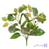 گیاه مصنوعی مدل بوته فیتونیا
