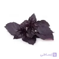 بذر ریحان بنفش