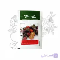 بذر گوجه چری بنفش درختی آذر سبزینه