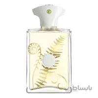 عطر مردانه آمواج براکن 100 میل ادو پرفیوم-AMOUAGE BRACKEN MEN EDP