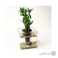 استند گلدان مدل اکواریوم