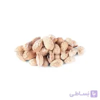 بادام کاغذی ایرانی شور