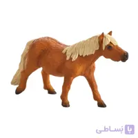 پونی شتلند 387231 – حیوانات موجو