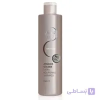 شامپو آرگان طلایی Piega Viva ا Piega Viva Argan Golden Shampoo