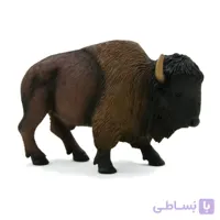 بوفالو آمریکایی 387024 – حیوانات موجو