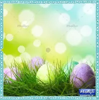 بک گراند سال نو مبارک