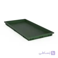 سینی نشا سبز