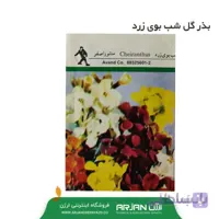 بذر گل شب بوی زرد