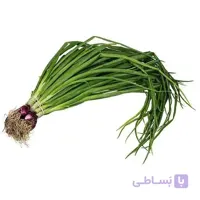 بذر تره شادهگان