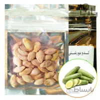 بذر کدو خورشتی کشاورزی فراز 35 گرمی