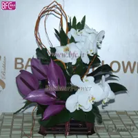 سبد ارکیده و آنتریوم