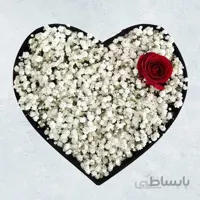 باکس گل رز و ژیپسوفیلا