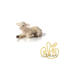 بره نشسته Lamb Lying Down 387099