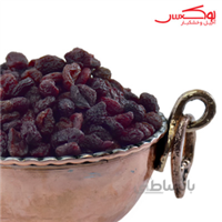 زغال آخته
