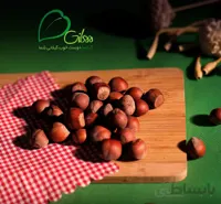 فندق خام