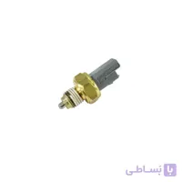 فشنگی دنده عقب پژو 405