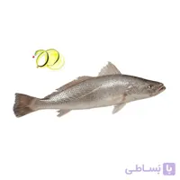ماهی شوریده