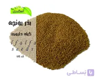 بذر یونجه