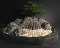 سازه صخره با شبه بونساى كاج آروكاريا