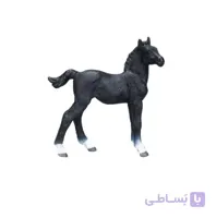 کره اسب هانورین سیاه 381000- حیوانات موجو