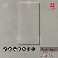 رامونا خاکستری 60×120 مات درجه 1