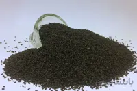 تخم شربتی درشت (ریحان)
