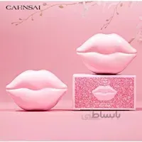 بالم لب طرح لب کانسای - CHANSAI