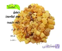 صمغ عربی