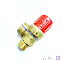 شیر اطمینان بیرون دنده