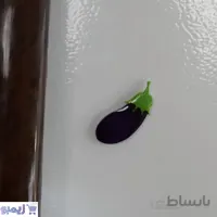 مگنت رویخچالی بادمجان