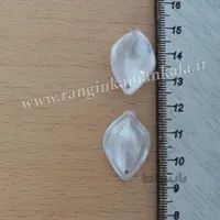 گلبرگ رز وحشی کوچک صدفی