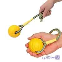 توپ آموزشی بنددار سگ