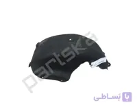 شلگیر عقب‌چپ قسمت‌عقبی النترا