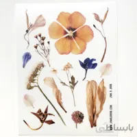 استیکر شفاف گل خشک