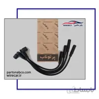 وایر پژو ۴۰۵ (پرتوناب ایرانی- درب کارخانه)