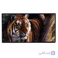 تلویزیون لمسی 43 اینچ سی تاچ seeTouch مدل TSH43