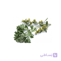 افسنطین بسته‌ی 100 گرمی