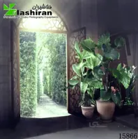 بکگراند (فون) ۱۵۸۶۶