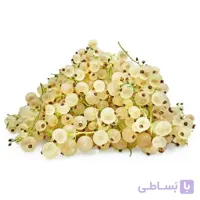 بذر کارنت سفید