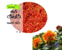 گیاه گلرنگ