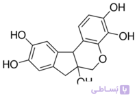محلول هماتوکسیلین