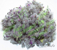 چای کوهی