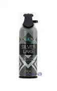 اسپری خوشبو کننده اسکوا مدل SILVER LIKE حجم 120 میلی لیتر