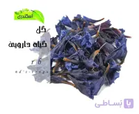گل گاوزبان